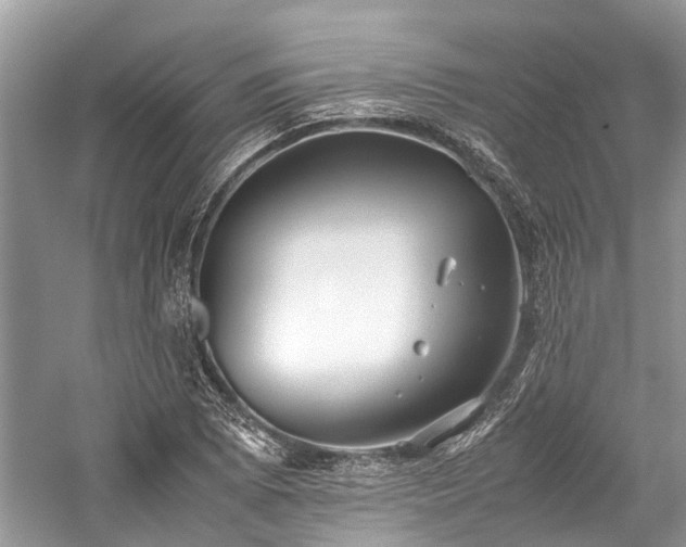 X0000059831073200510211207