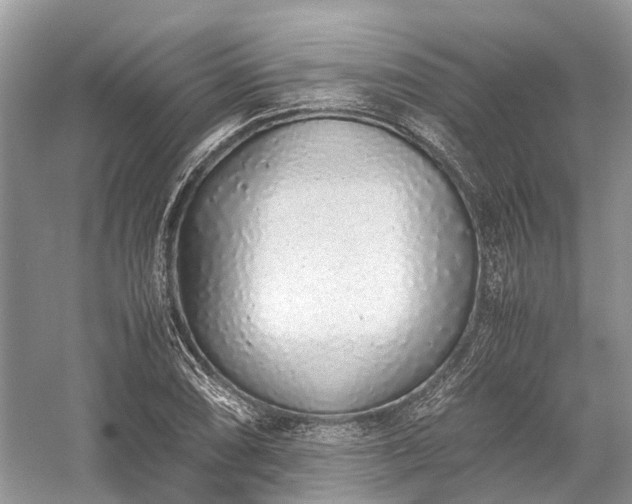 X0000059831074200510211207