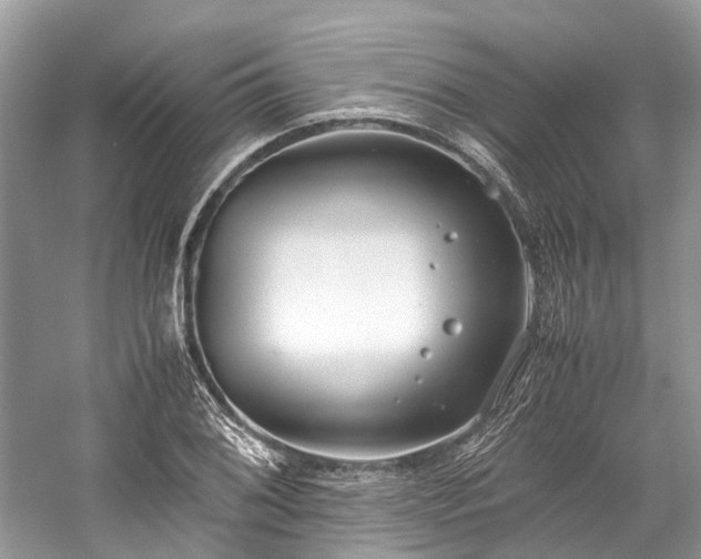 X0000059831076200510211207