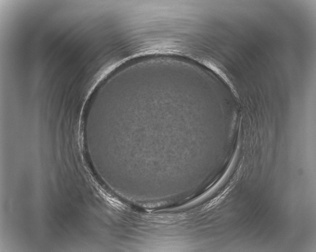 X0000059831077200510211207