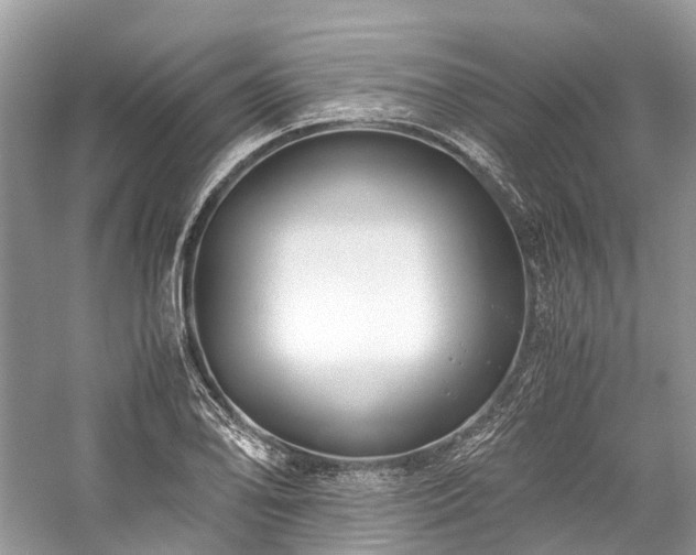 X0000059831078200510211207