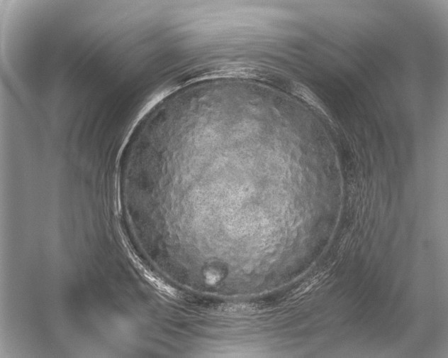 X0000059831079200510211207