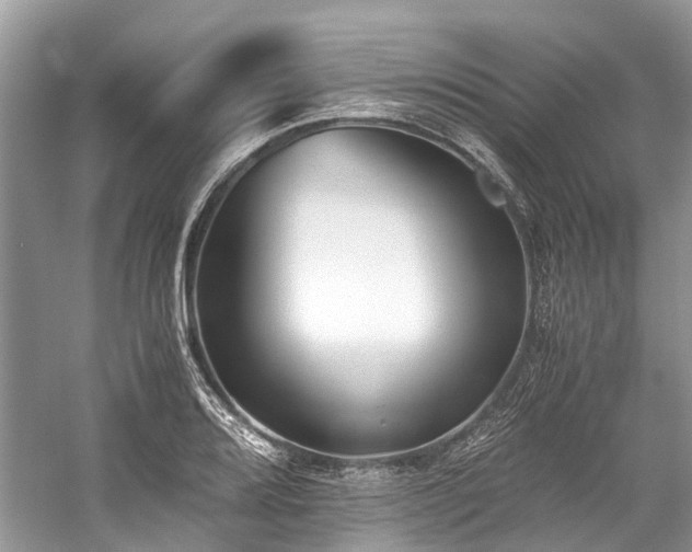 X0000059831080200510211207