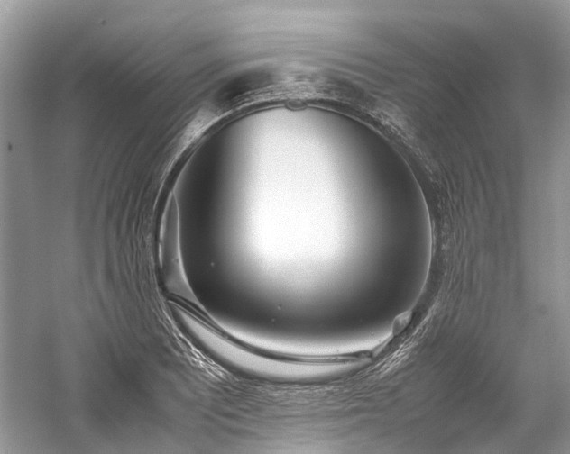 X0000059831081200510211207