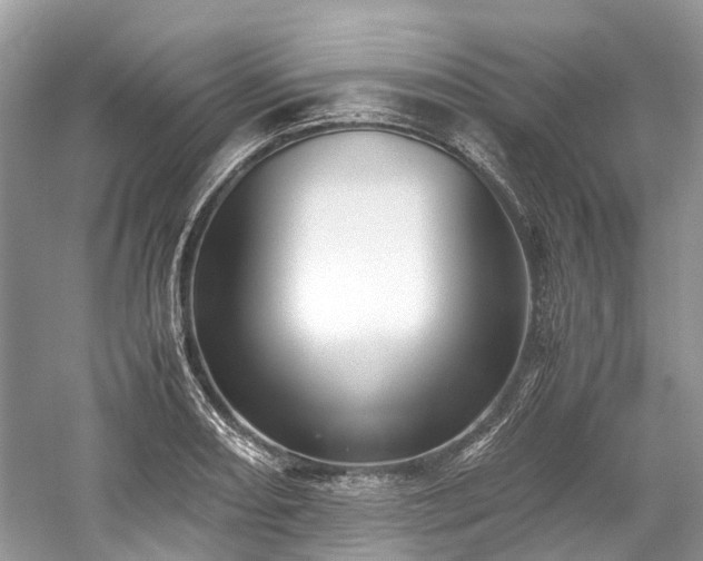 X0000059831082200510211207