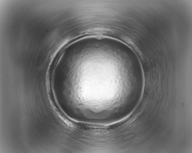 X0000059831083200510211207