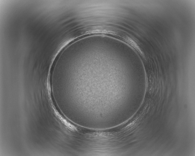 X0000059831084200510211207