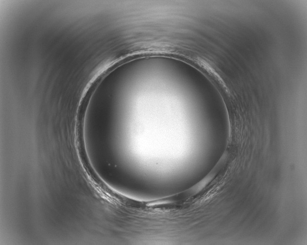 X0000059831085200510211207