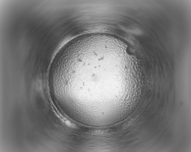 X0000059831086200510211207