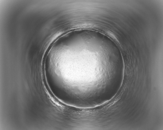 X0000059831087200510211207