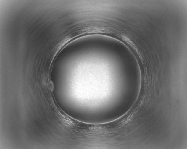 X0000059831089200510211206