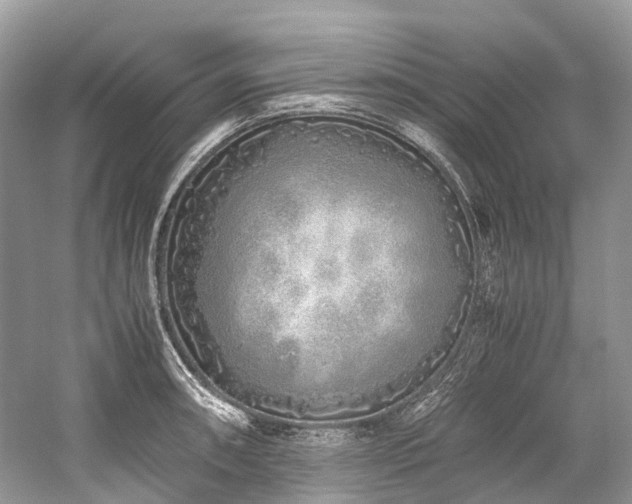 X0000059831090200510211206