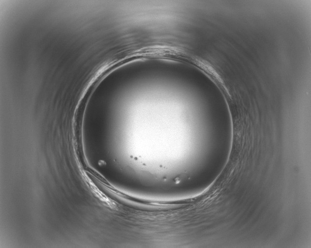 X0000059831091200510211206