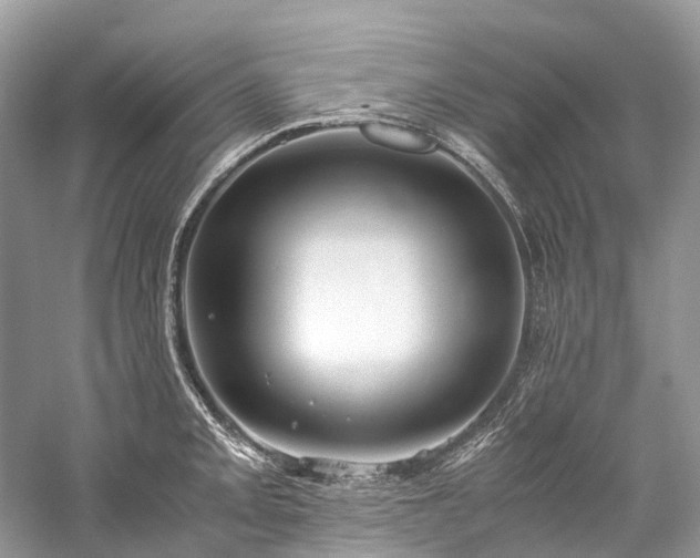 X0000059831093200510211206