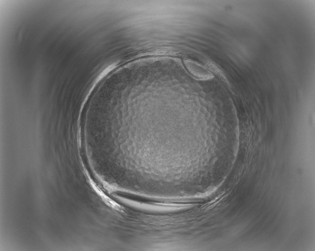 X0000059831095200510211206