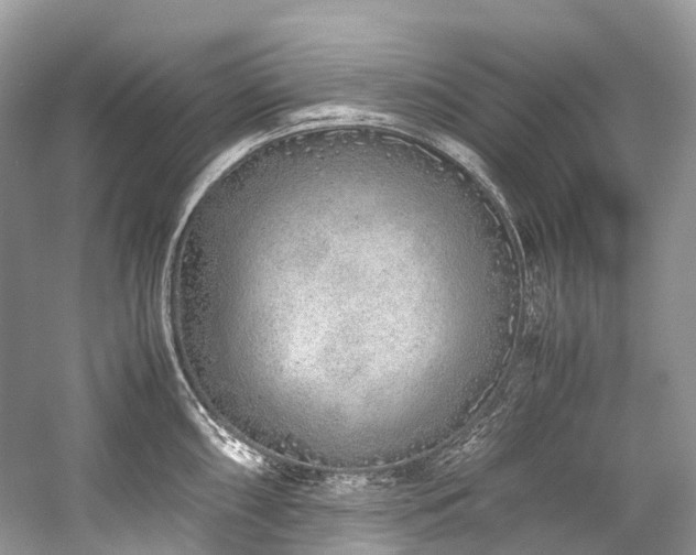 X0000059831098200510211206