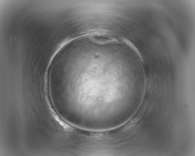 X0000059831099200510211206