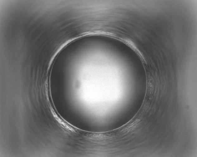 X0000059831100200510211206