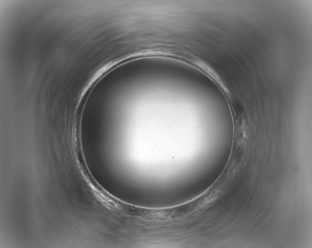 X0000059831101200510211206