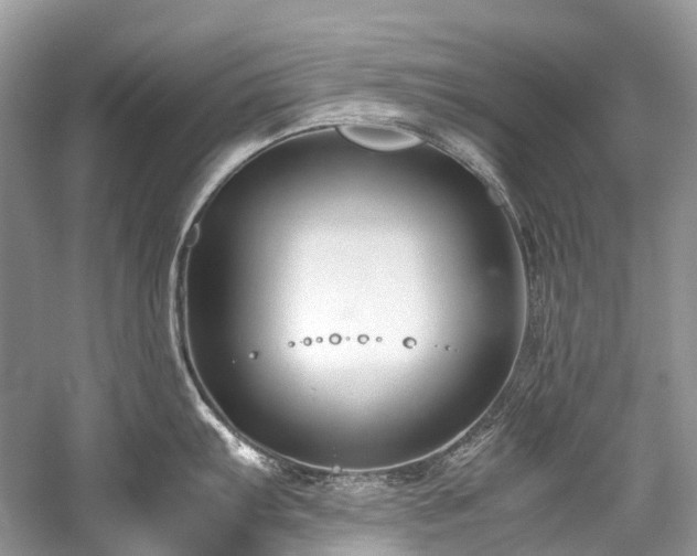 X0000059831103200510211206