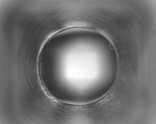 X0000059831104200510211206