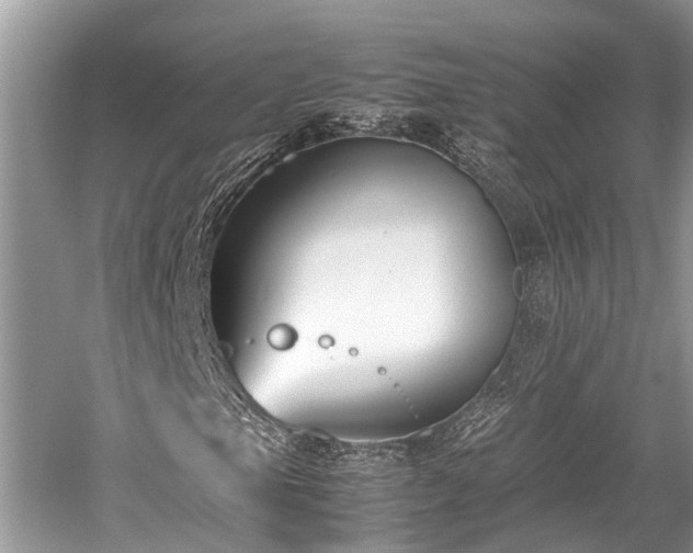 X0000059831105200510211205