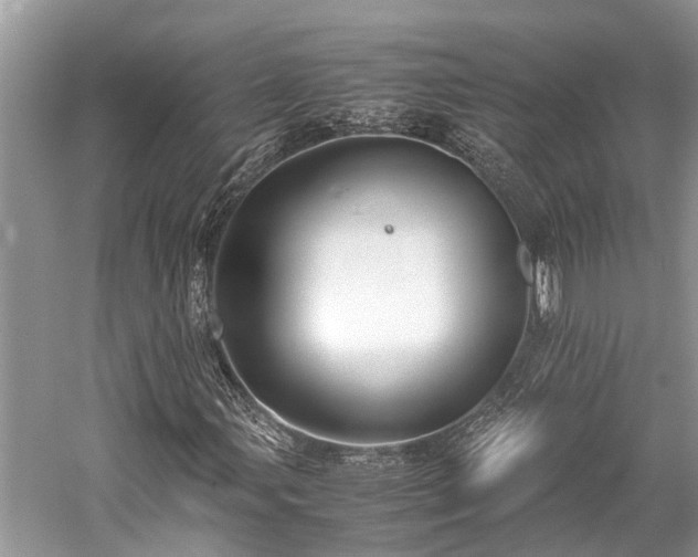 X0000059831107200510211205