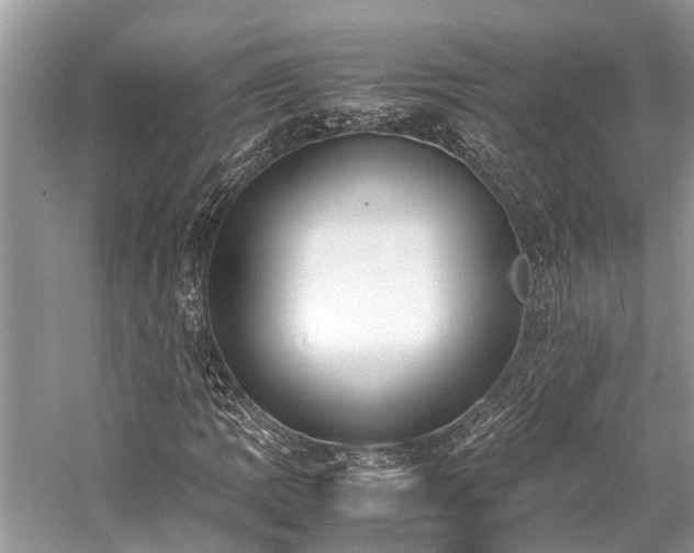 X0000059831109200510211205