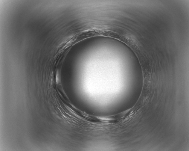 X0000059831110200510211205