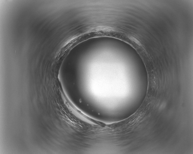 X0000059831112200510211206