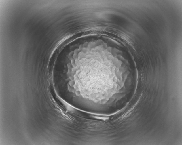 X0000059831117200510211206