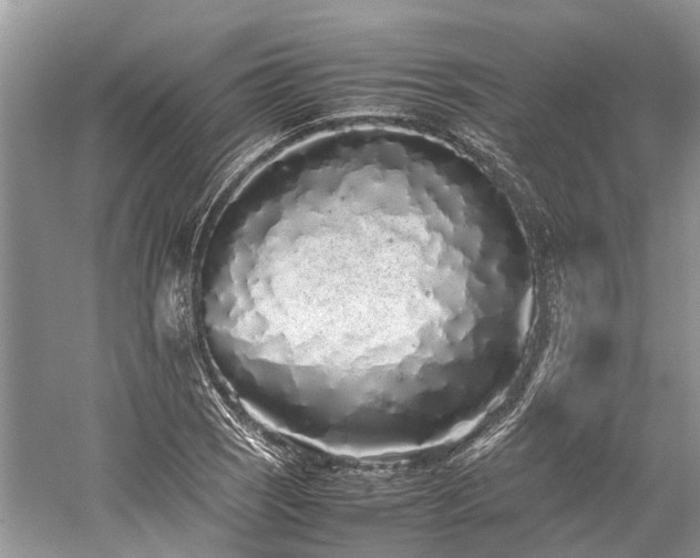 X0000059831121200510211206