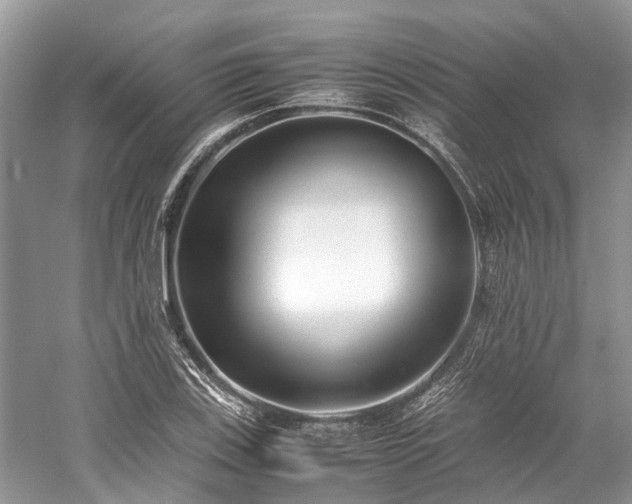 X0000059831123200510211206