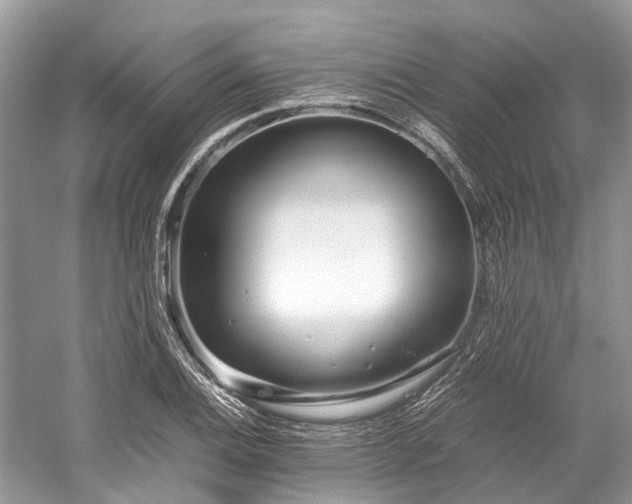 X0000059831124200510211206