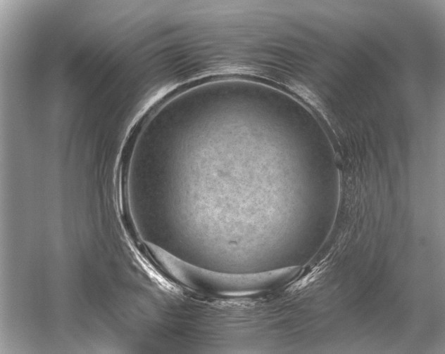 X0000059831127200510211206