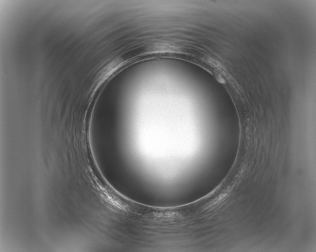 X0000059831129200510211206