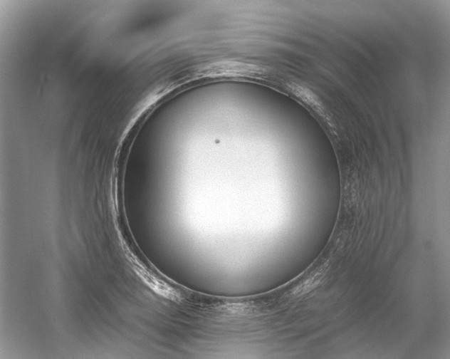 X0000059831130200510211206