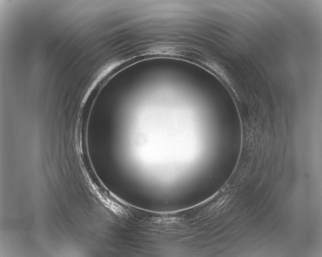 X0000059831131200510211206