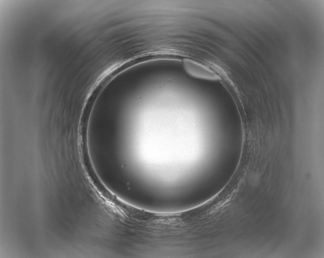 X0000059831133200510211206