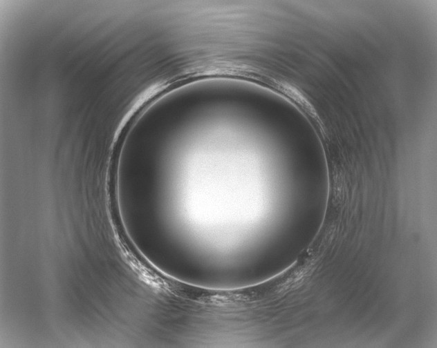 X0000059831138200510211206