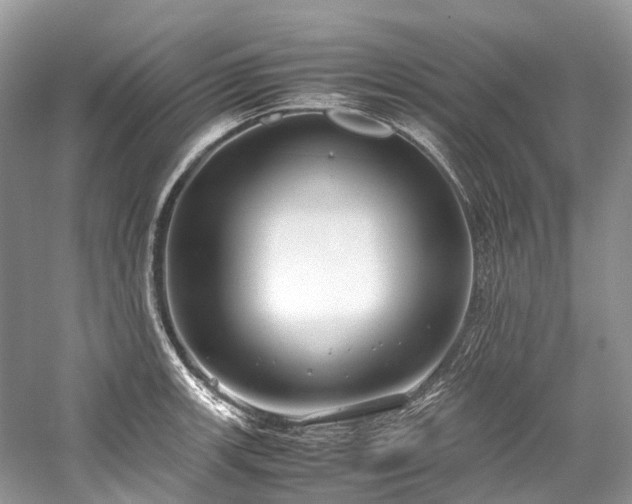 X0000059831139200510211206