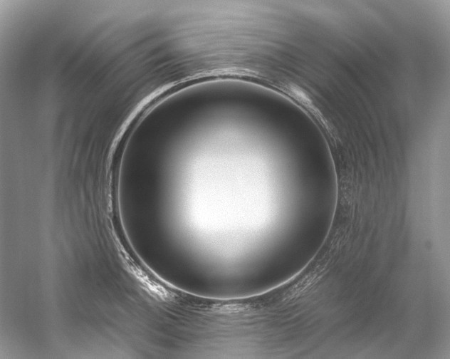 X0000059831140200510211206