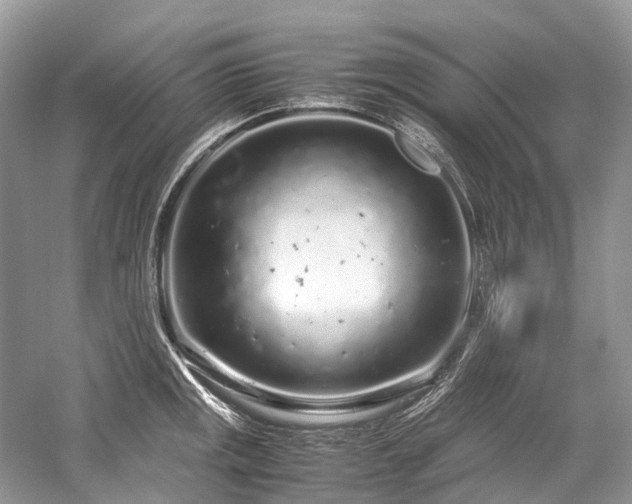 X0000059831141200510211206