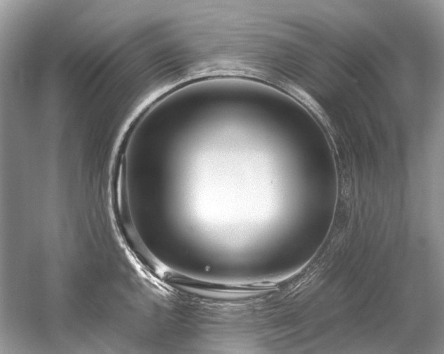 X0000059831144200510211206