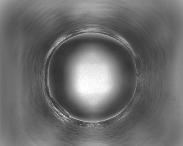 X0000059831146200510211206