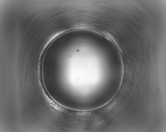 X0000059831147200510211206