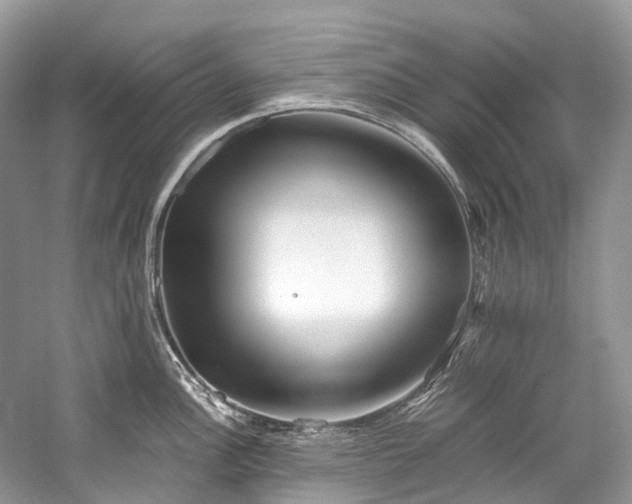 X0000059831148200510211206