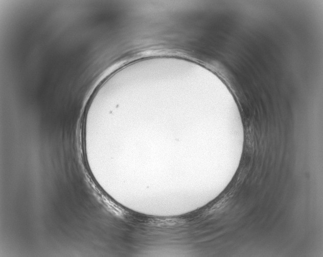 X0000059831150200510211206