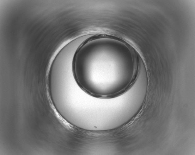 X0000059831152200510211206