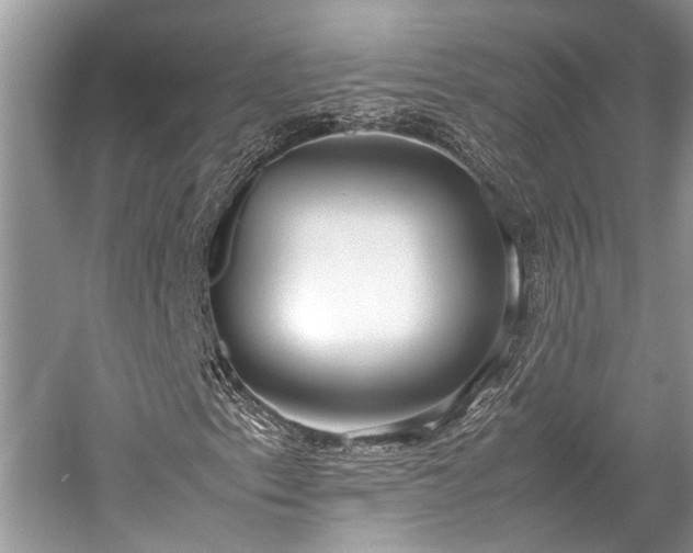 X0000059831153200510211205